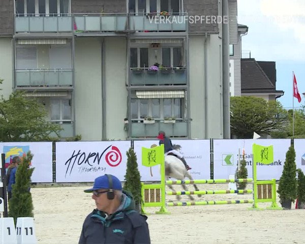 Reitturnier Horn 2019