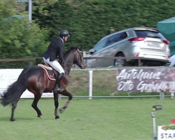 Reitturnier Greppin 2019