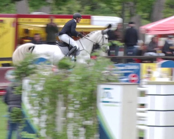 Reitturnier Greppin 2019