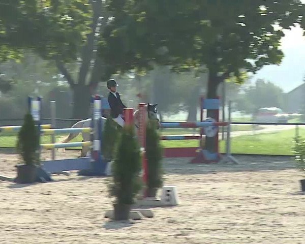 Süddeutsche Ponymeisterschaften Rot am See- Musdorf 2021