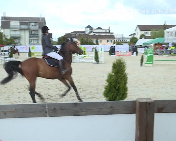 Reitturnier Horn 2019