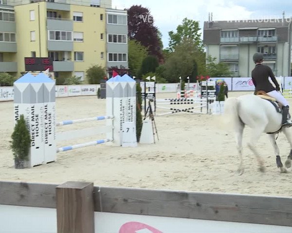 Reitturnier Horn 2019