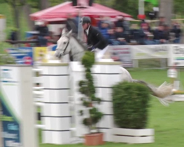Reitturnier Greppin 2019