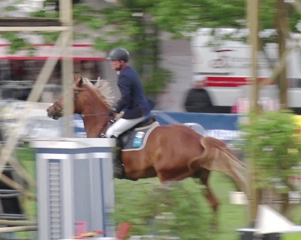 Reitturnier Greppin 2019