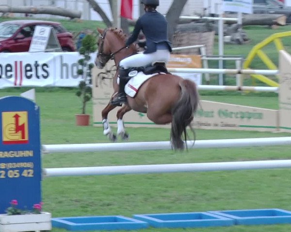 Reitturnier Greppin 2019