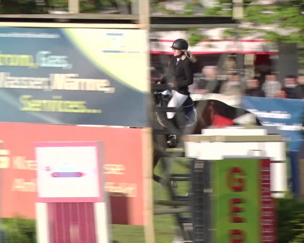 Reitturnier Greppin 2019