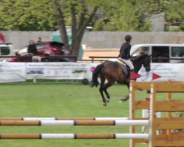 Reitturnier Greppin 2019