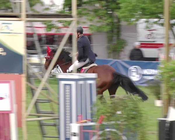Reitturnier Greppin 2019