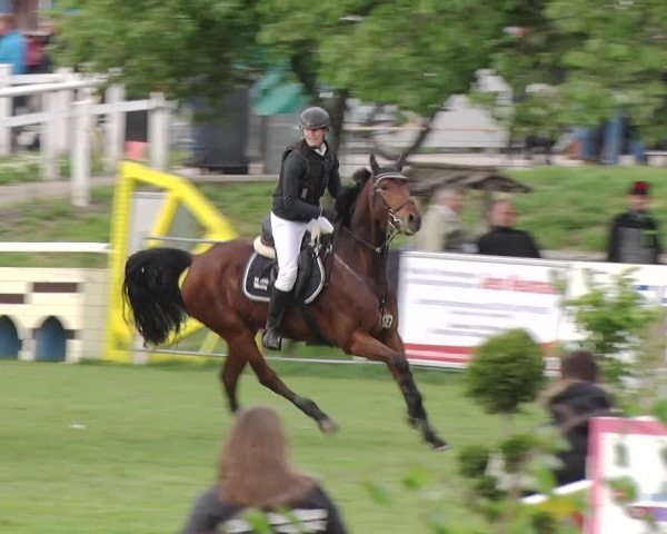 Reitturnier Greppin 2019