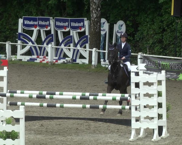 Reitturnier Eppelheim 2019