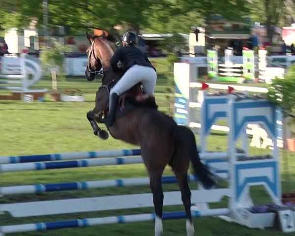 Reitturnier Greppin 2019