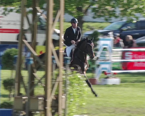 Reitturnier Greppin 2019