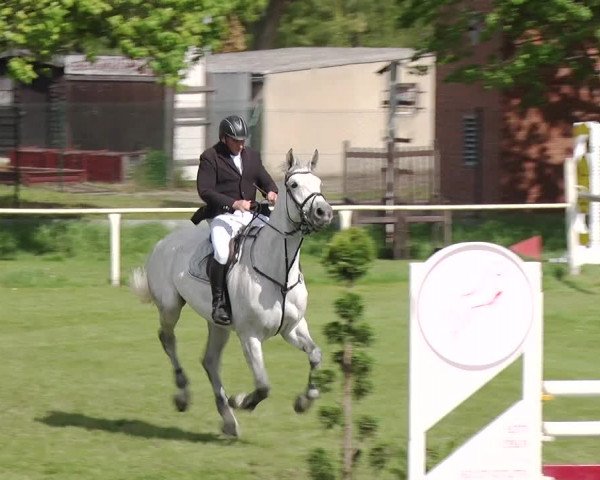 Reitturnier Greppin 2019