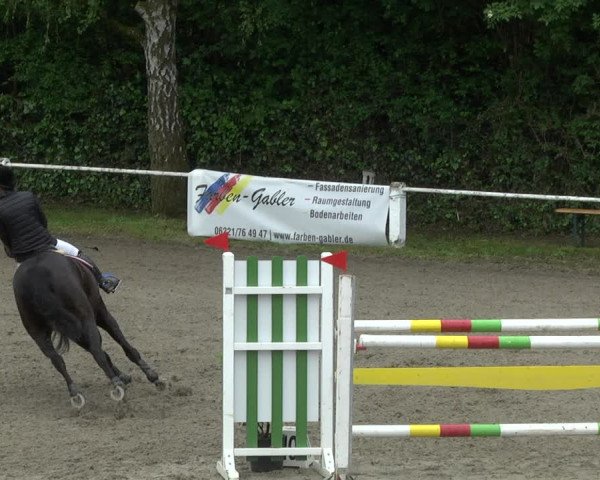 Reitturnier Eppelheim 2019