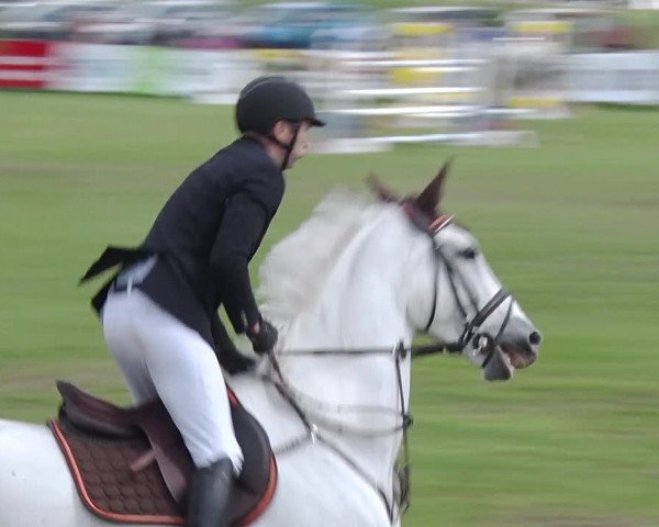 Reitturnier Greppin 2019