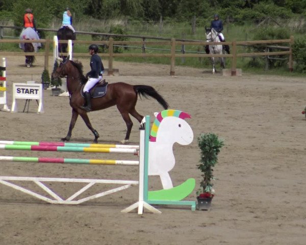 Reitturnier Kamen 2019