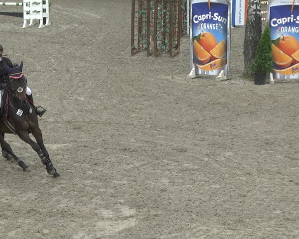 Reitturnier Eppelheim 2019