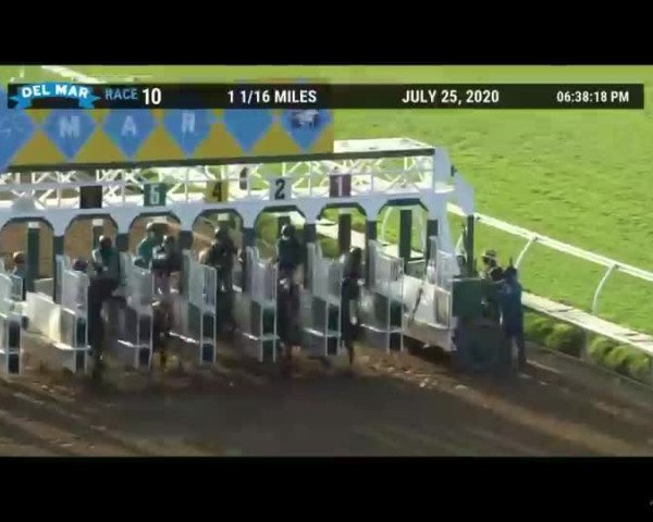 Video of Maximum Security xx