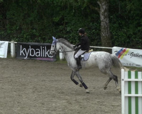 Reitturnier Eppelheim 2019