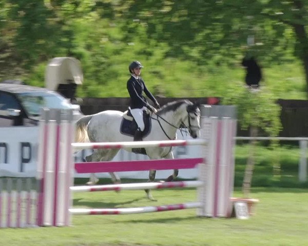 Reitturnier Greppin 2019