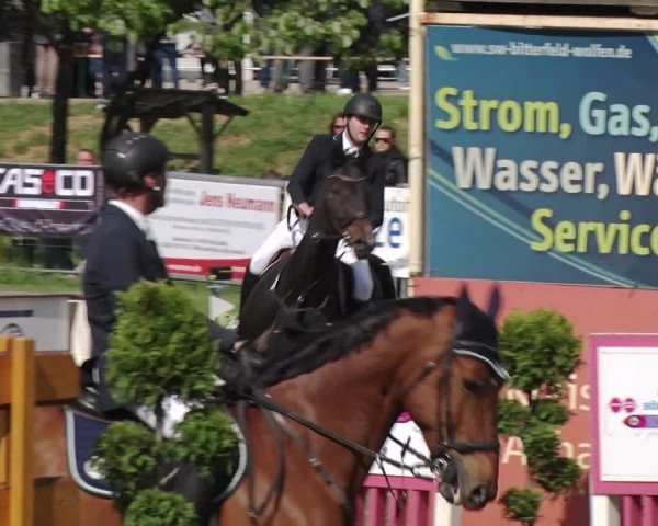 Reitturnier Greppin 2019