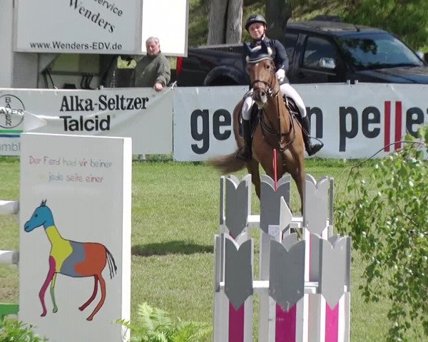 Reitturnier Greppin 2019