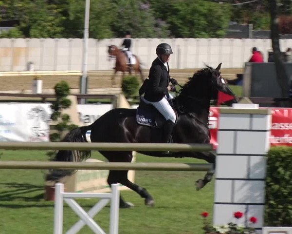 Reitturnier Greppin 2019