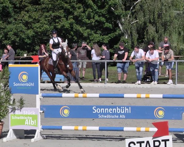 Springturnier Sonnenbühl-Undingen 2021
