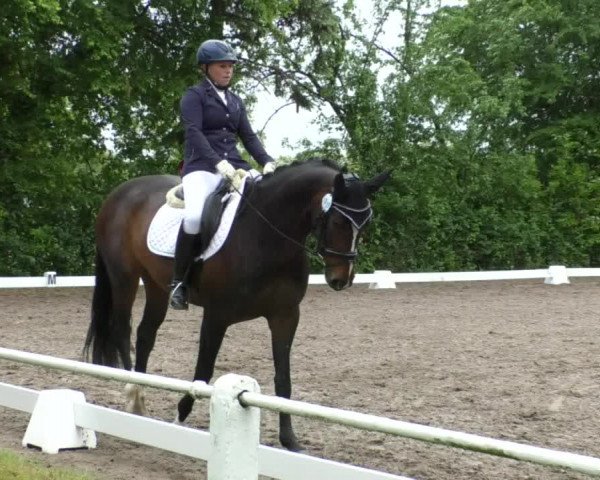 Reitturnier Eppelheim 2019