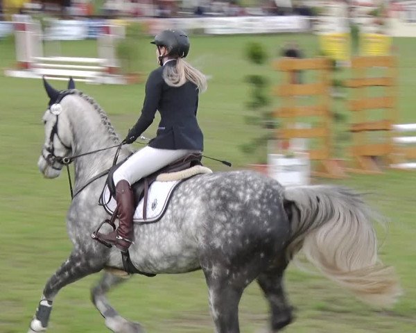 Reitturnier Greppin 2019
