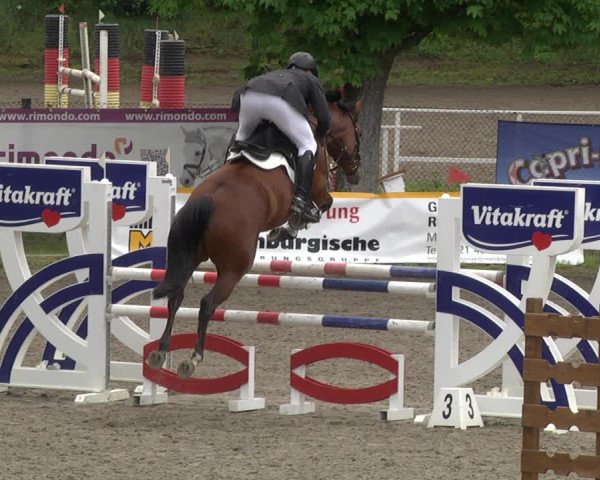 Reitturnier Eppelheim 2019
