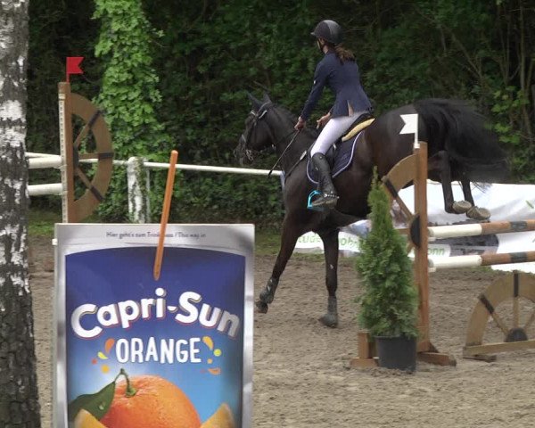 Reitturnier Eppelheim 2019
