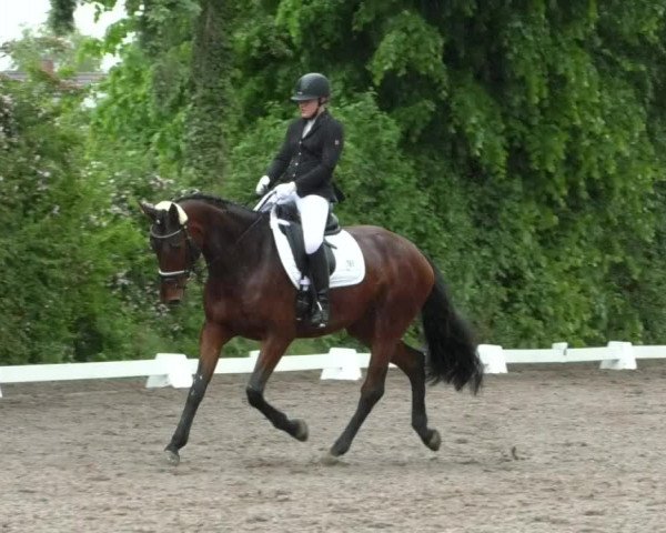 Reitturnier Eppelheim 2019