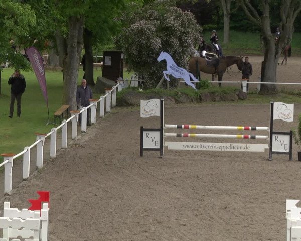 Reitturnier Eppelheim 2019