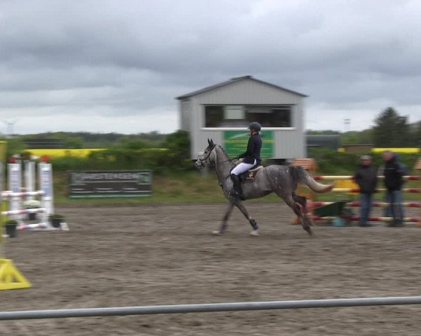 Reitturnier Risum-Lindholm 2019