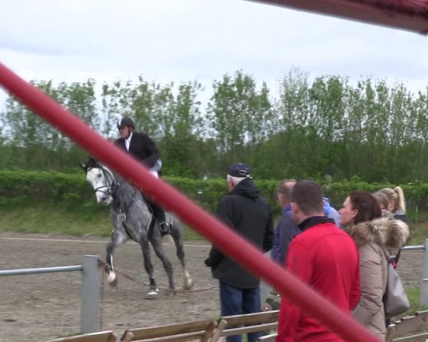 Reitturnier Risum-Lindholm 2019