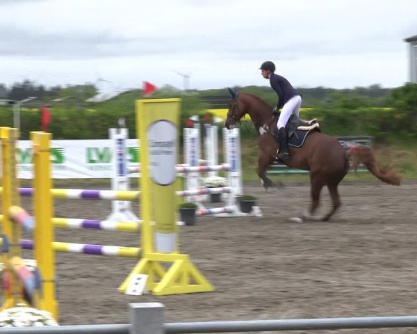 Reitturnier Risum-Lindholm 2019