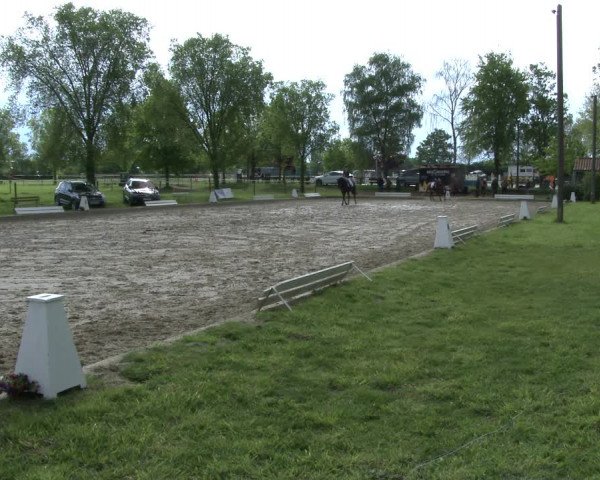 Reitturnier Ahlen 2019