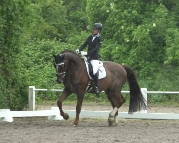 Reitturnier Eppelheim 2019