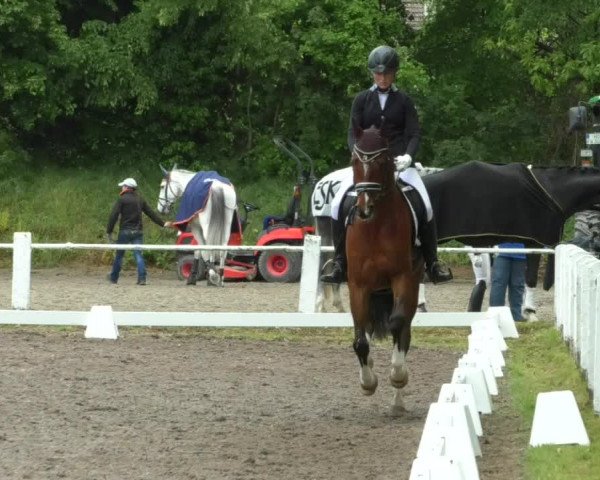 Reitturnier Eppelheim 2019