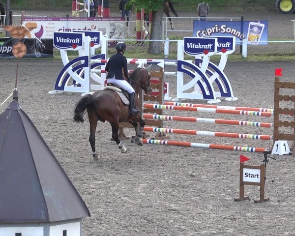 Reitturnier Eppelheim 2019