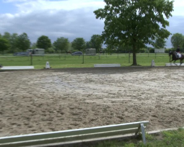Reitturnier Ahlen 2019