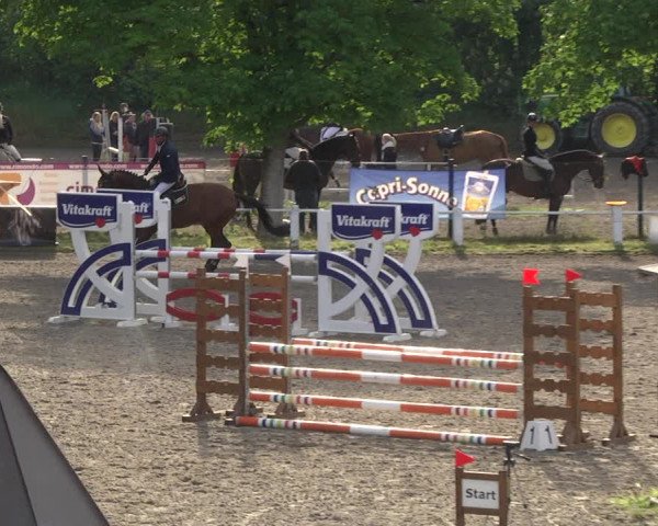 Reitturnier Eppelheim 2019
