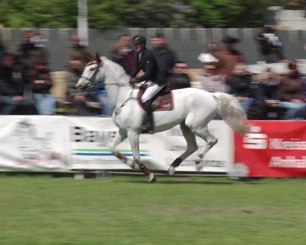 Reitturnier Greppin 2019