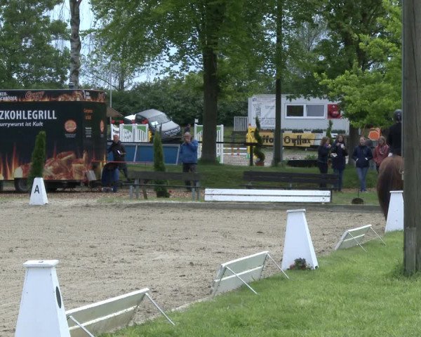 Reitturnier Ahlen 2019