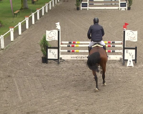 Reitturnier Eppelheim 2019