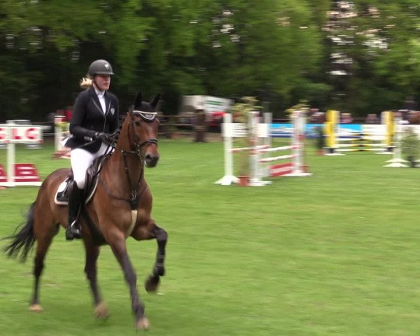 Reitturnier Meppen 2019