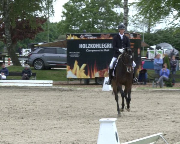 Reitturnier Ahlen 2019