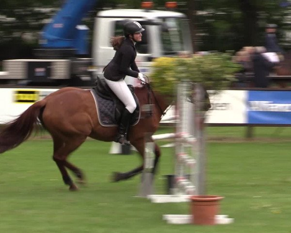 Reitturnier Meppen 2019