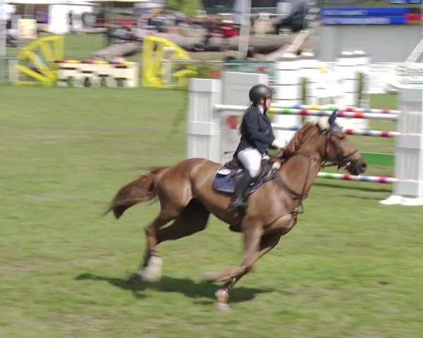 Reitturnier Greppin 2019